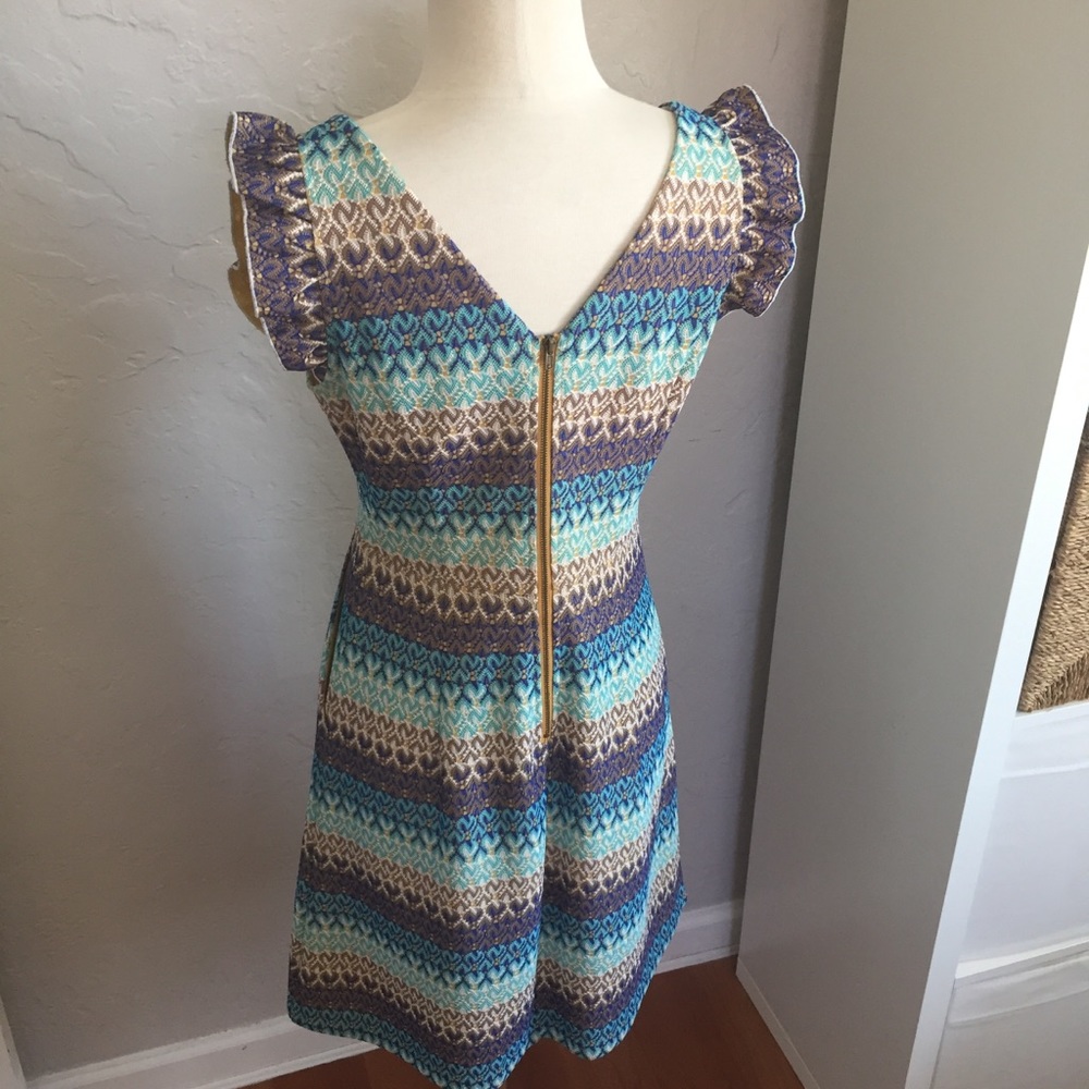 LIKE NEW!  Tabitha Teahouse dress by Anthropologie - Picture 7 of 12